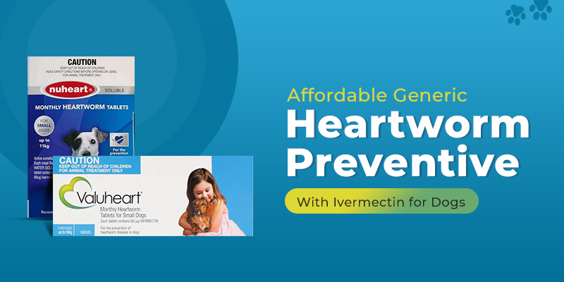 Affordable Generic Heartworm Preventive With Ivermectin for Dogs Affordable Generic Heartworm Preventive With Ivermectin for Dogs
