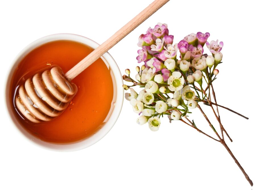 Antimicrobial resistance in dogs and cats Antimicrobial resistance in dogs and cats