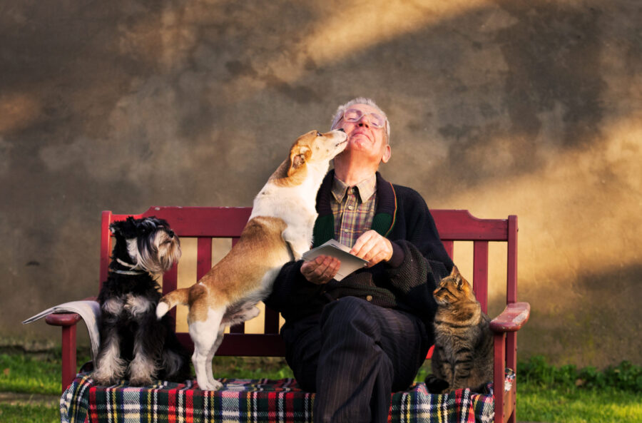 Benefits of dogs and cats for seniors Benefits of dogs and cats for seniors