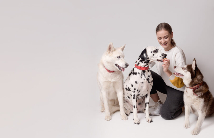 Evolution of dog training methods