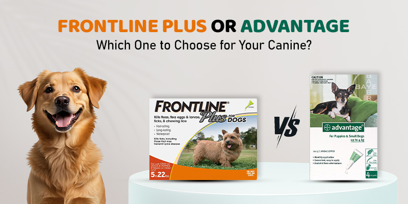 Frontline Plus or Advantage – Which One to Choose for Your Canine? Frontline Plus or Advantage – Which One to Choose for Your Canine?