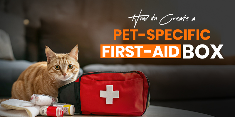 How to Create a Pet-Specific First-Aid Box How to Create a Pet-Specific First-Aid Box