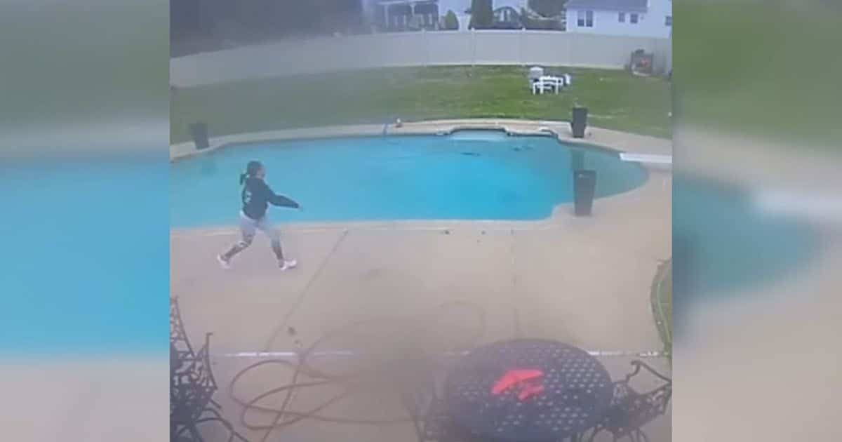 Owner Panics When His 14-Week-Old Puppy Jumps into Pool, Then Realizes Something Incredible Owner Panics When His 14-Week-Old Puppy Jumps into Pool, Then Realizes Something Incredible