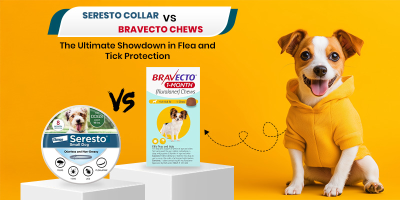 Seresto Collar vs. Bravecto Chews: The Ultimate Showdown in Flea and Tick Protection Seresto Collar vs. Bravecto Chews: The Ultimate Showdown in Flea and Tick Protection