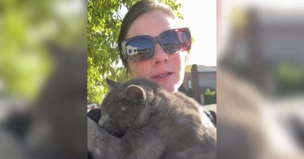 She Jumped Into Action to Rescue a Cat and Found Her Heart’s Match She Jumped Into Action to Rescue a Cat and Found Her Heart’s Match