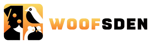 Best Deals for all new