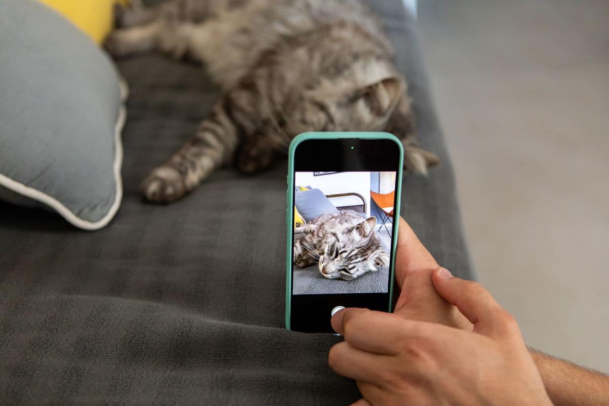 the cuteness that’s going viral the cuteness that’s going viral