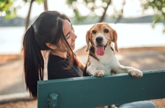 15 Loyal Dog Breeds That Choose You