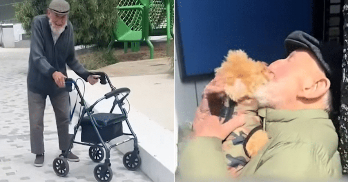 Elderly Man ‘Lights Up’ With Joy When Tiny Dog Visits Him Every Day