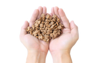 High-quality kibble for dogs and cats