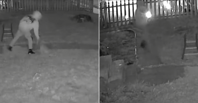 Man Pleads Not Guilty After Viral Video Shows Dog Slammed to the Ground