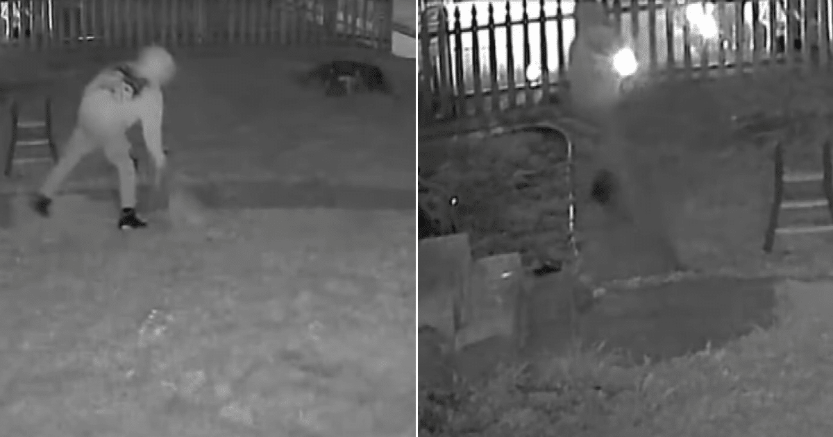 Man Pleads Not Guilty After Viral Video Shows Dog Slammed to the Ground Man Pleads Not Guilty After Viral Video Shows Dog Slammed to the Ground