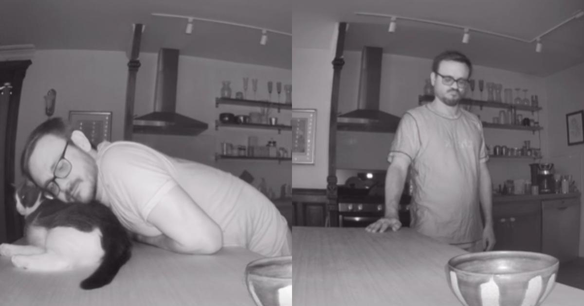 Man’s Gentle Method to Win Over a Cat Is Too Pure for Words Man’s Gentle Method to Win Over a Cat Is Too Pure for Words