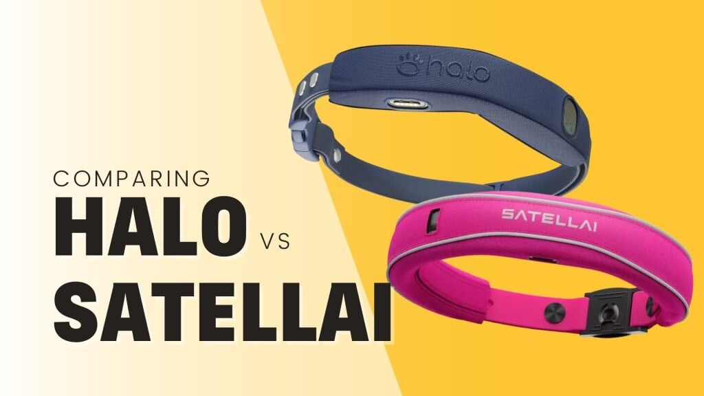 SATELLAI vs Halo GPS Dog Collar Review: Which GPS Fence is Actually Worth It?
