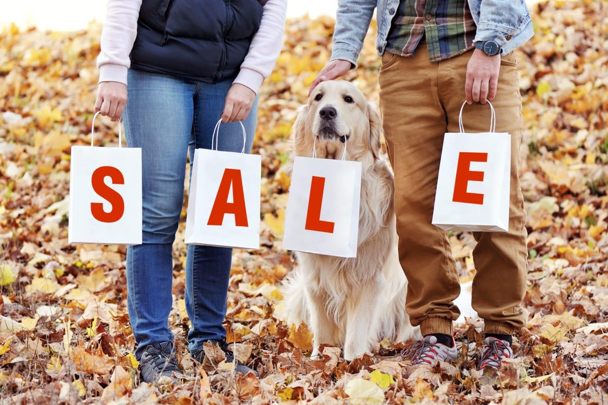 Save Big on Early Black Friday Deals for Dogs Save Big on Early Black Friday Deals for Dogs