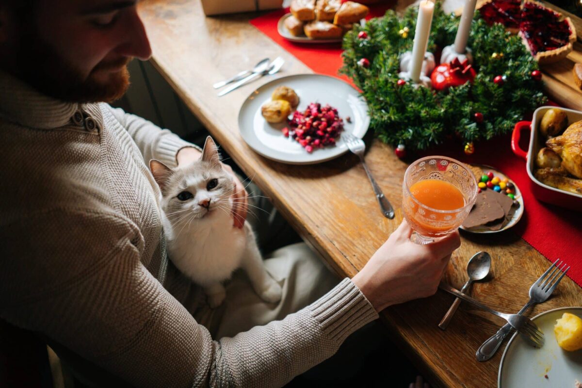 Smart Holiday Safety Tips Every Cat Parent Should Know Smart Holiday Safety Tips Every Cat Parent Should Know