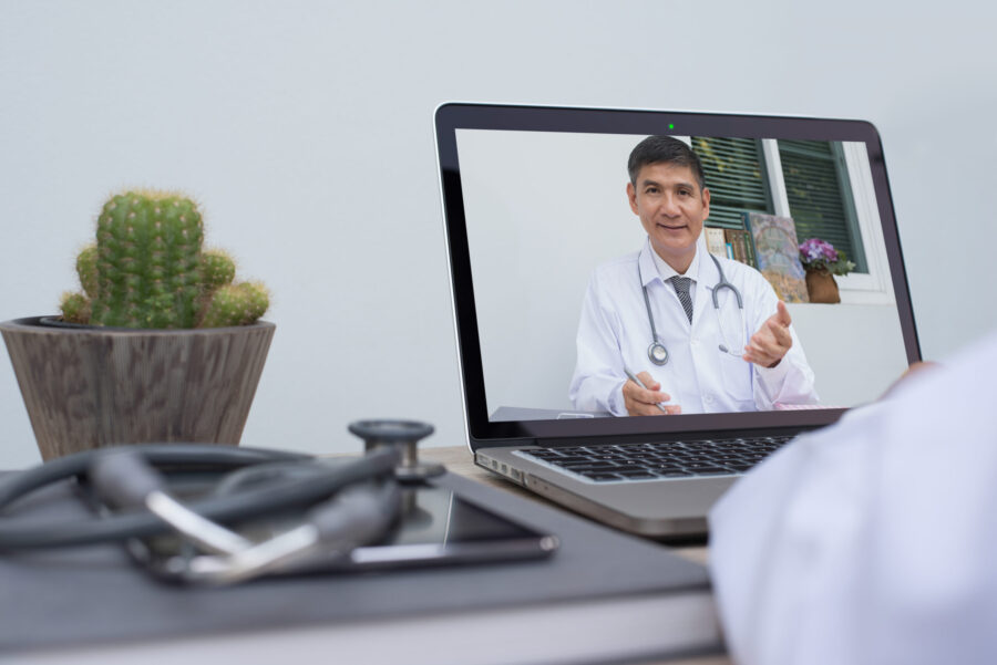 Telehealth for cats with arthritis Telehealth for cats with arthritis