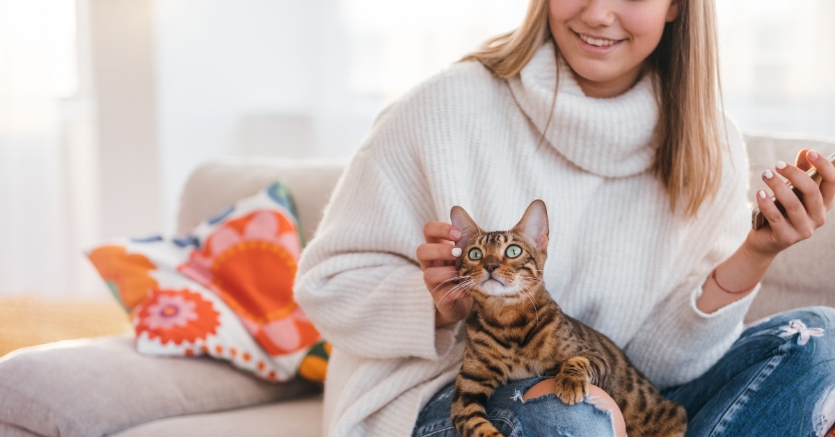 TropiClean HomeVet Makes Cat Care Comfortable And Easy TropiClean HomeVet Makes Cat Care Comfortable And Easy