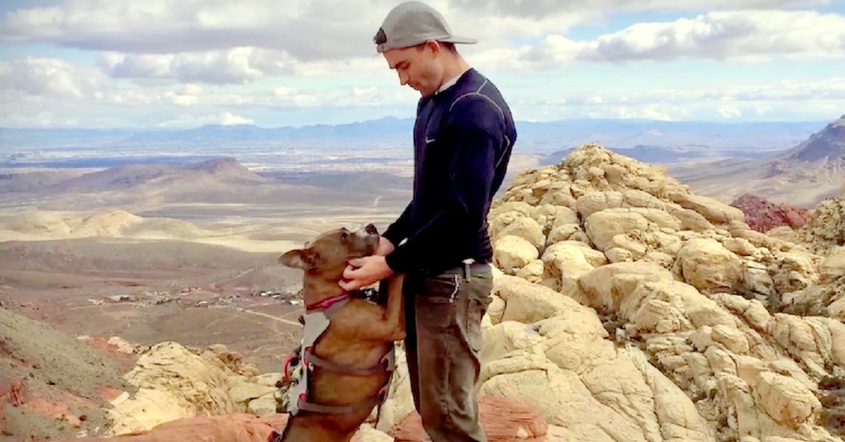 After 6-Months Of No-Eye Contact, Dad Figures Out Adopted Dog’s ‘True Passion’
