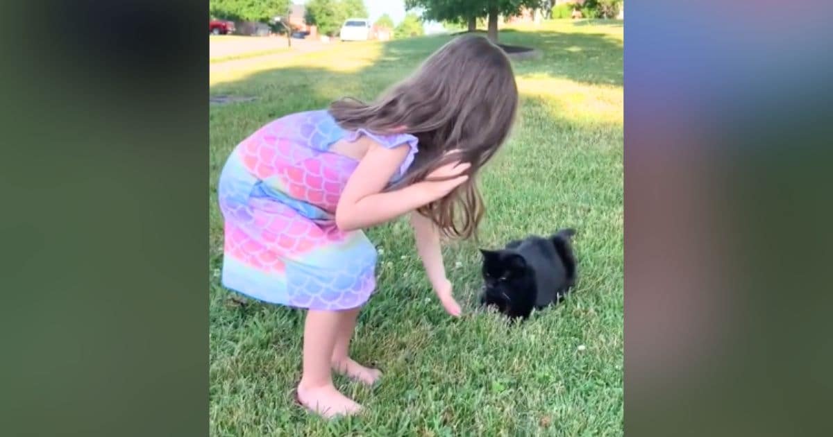 Little Girl Says Emotional Farewell to Her First Friend, a Black Cat