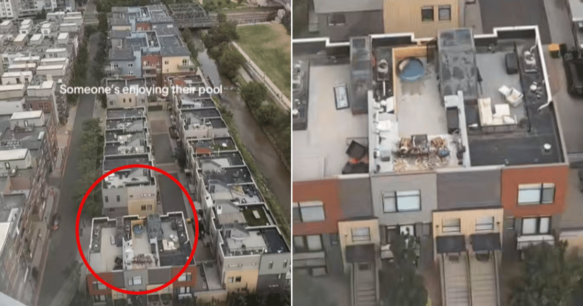 Man Notices Golden Retriever Enjoying Pool Below, But Then He Zooms In