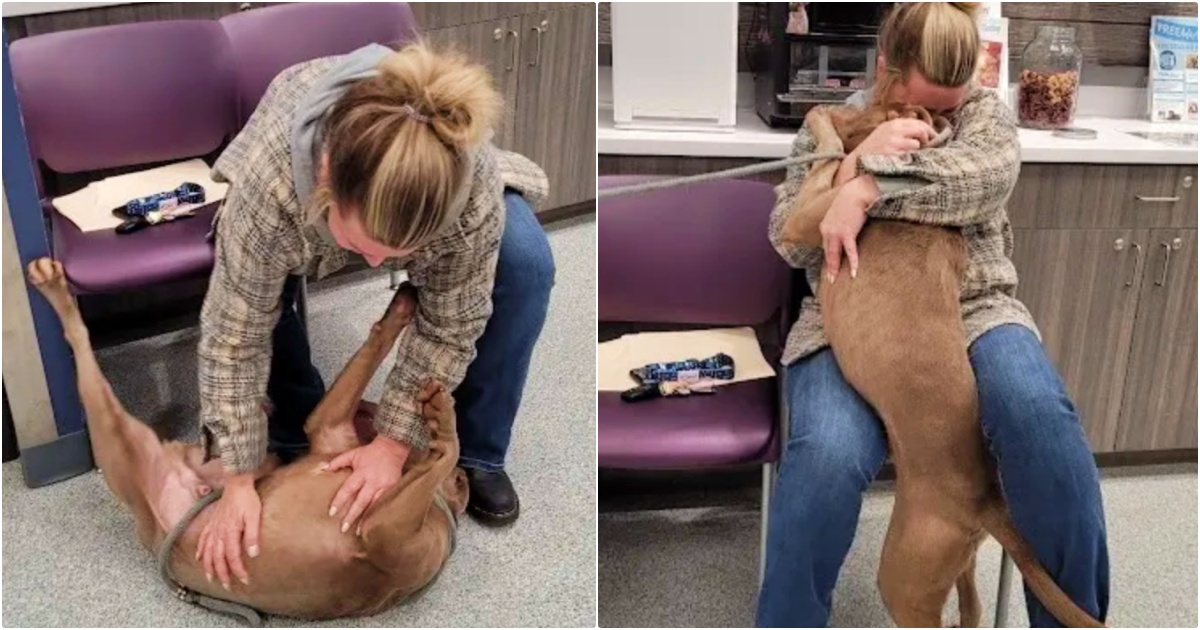 Shelter Dog Whips Head Around When Woman Calls Him By His Real Name Shelter Dog Whips Head Around When Woman Calls Him By His Real Name