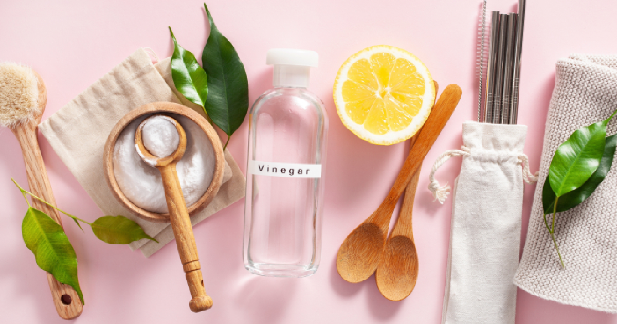 10 Natural Ways To Clean The Litter Box