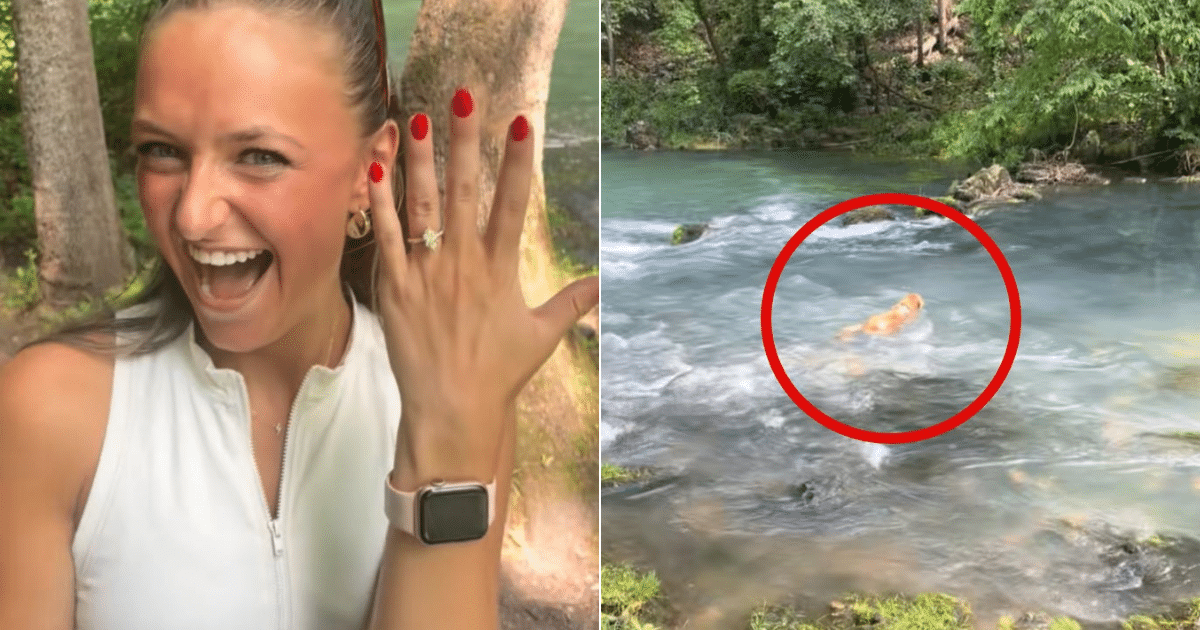 Couple Film Their Engagement, Unaware of What’s Happening in the Background