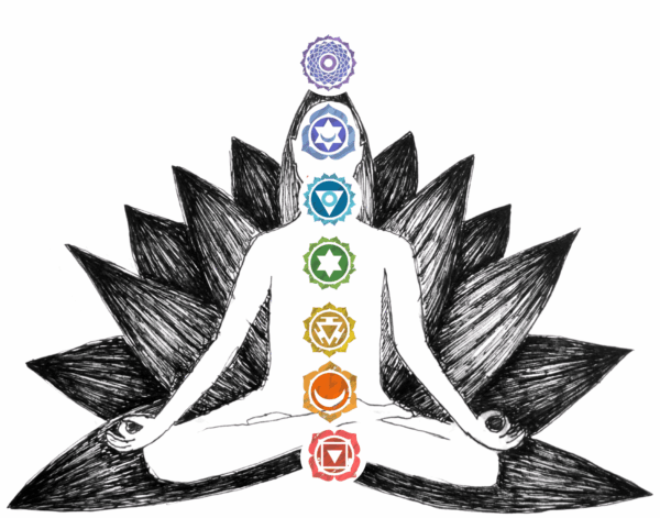 Discover the Mysteries of the Root Chakra and How It Influences Pet Behavior!