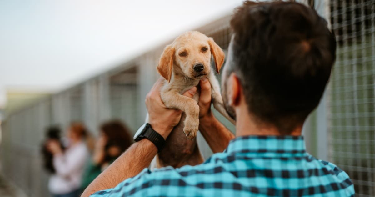 Shop These 14 Amazon Brands That Give Back to Dogs in Need