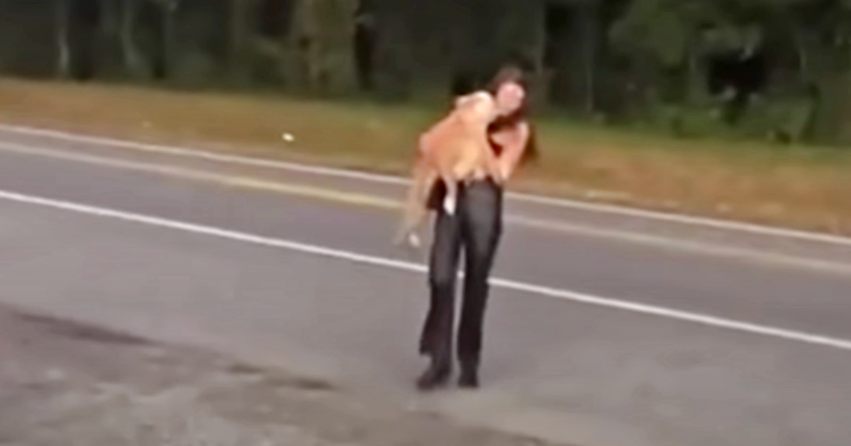 Woman Told Dog’s Not Worth Saving Because Of His Breed, She Didn’t Listen Woman Told Dog’s Not Worth Saving Because Of His Breed, She Didn’t Listen