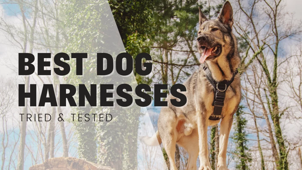 29 Best Dog Harnesses 2024 – By A Professional Trainer (Tried & Tested!)
