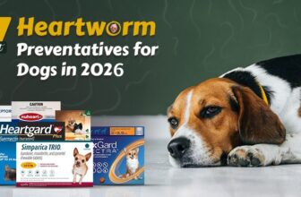 7 Best Heartworm Preventatives for Dogs in 2026