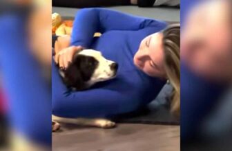 A Yoga Class Got an Unexpected Guest, and One Student Became His Forever Mom