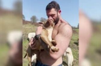 Asher House’s Soul Dog Matilda Proves “Different” Can Be Absolutely Perfect