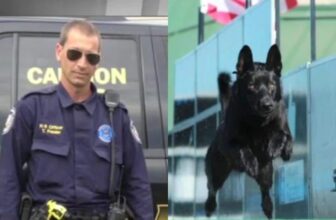 Brave K-9 Saves Partner During Ambush Involving Three Suspects