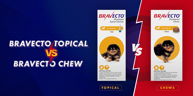 Bravecto Topical vs. Bravecto Chew – A Detailed Analysis Bravecto Topical vs. Bravecto Chew – A Detailed Analysis