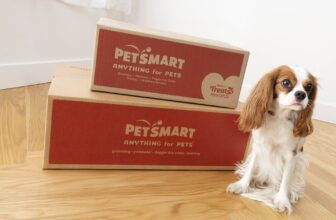 Bringing Home A New Pet? Read This Ultimate Guide For A Happy, Healthy Start