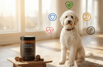 Can One Daily Chew Really Do It All? My Trial of Dog Is Human’s Multivitamin