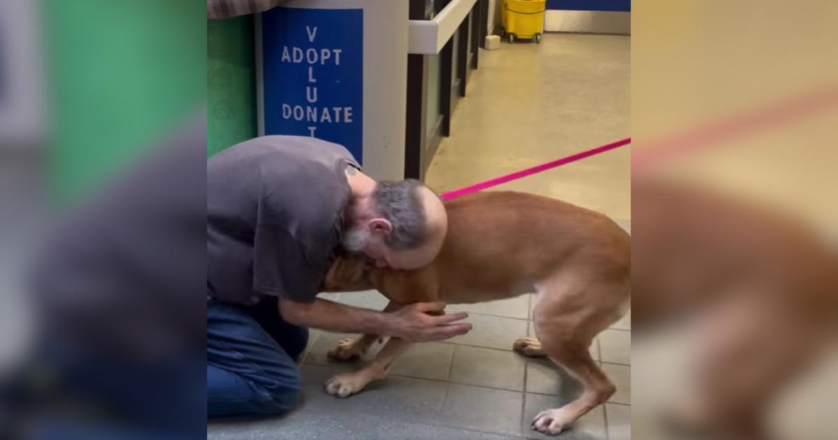 Cancer Survivor Reunites With The Dog He Once Had To Give Up Cancer Survivor Reunites With The Dog He Once Had To Give Up