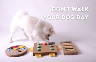 Don’t Walk Your Dog Day