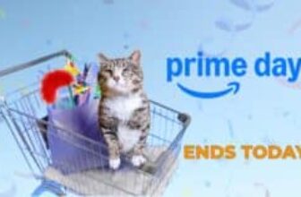 FINAL DAY: Amazon Prime Day Deals Every Cat Lover Needs!