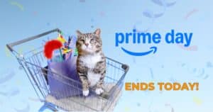 FINAL DAY: Amazon Prime Day Deals Every Cat Lover Needs!