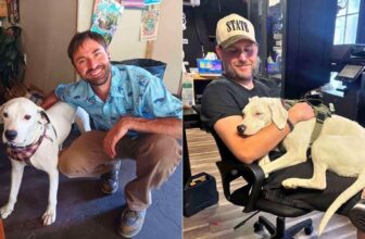 Hero VIP Club Supporters Helped Jake & Josh Go From A Lonely Country Road To Loving Homes