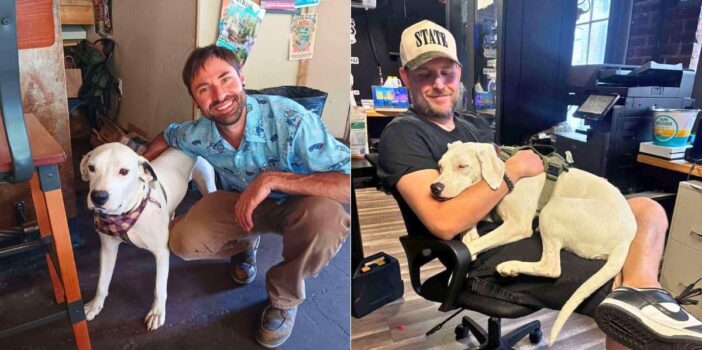 Hero VIP Club Supporters Helped Jake & Josh Go From A Lonely Country Road To Loving Homes