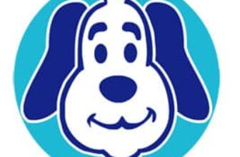 How to Turn Your Daily Dog Walk Into Mental Enrichment (Without More Time)