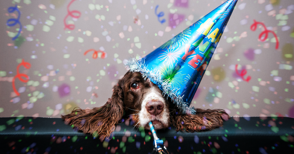 Kickstart Your New Year’s Resolutions with Your Dog By Your Side! Kickstart Your New Year’s Resolutions with Your Dog By Your Side!