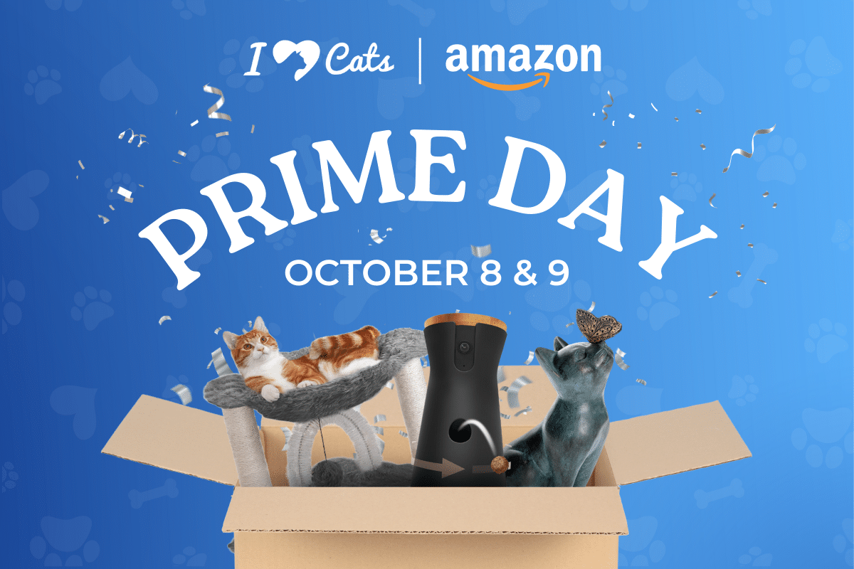 LAST DAY! October 2026 Amazon Prime Day Deals for Pets and Pet Parents Here! LAST DAY! October 2026 Amazon Prime Day Deals for Pets and Pet Parents Here!