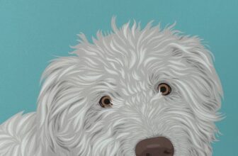 Lord of the Pets Portraits