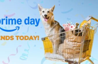 Prime Day Dog Deals Are Here! Shop Now!